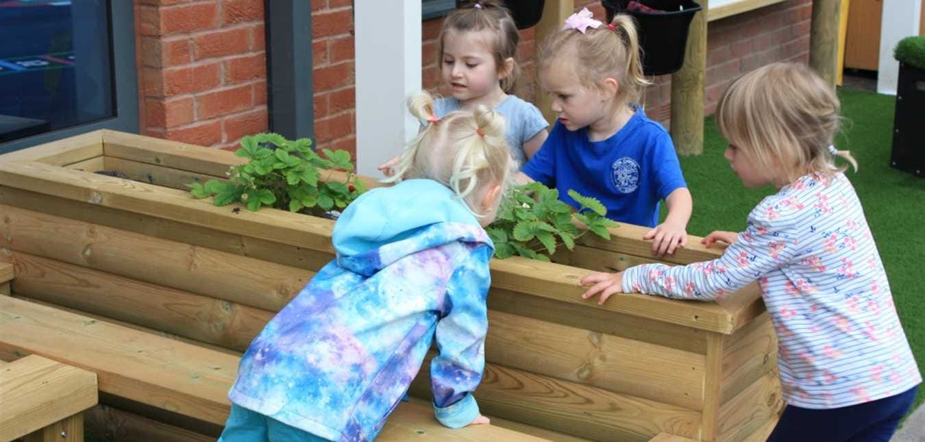 6 Amazing Benefits of School Gardens You Might Not Expect!